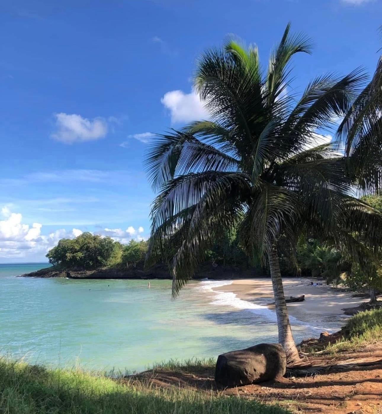 Le Ptit Paradis Creole *