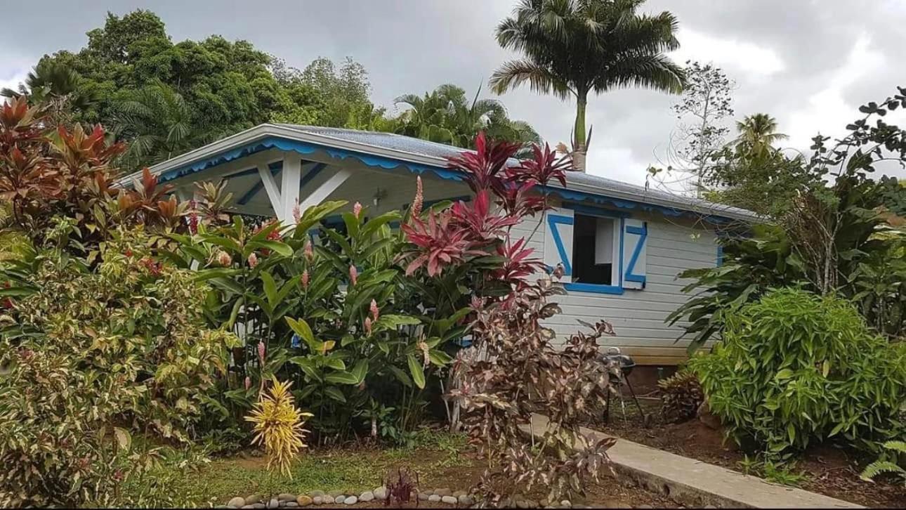 Hébergement de vacances Le Ptit Paradis Creole *
